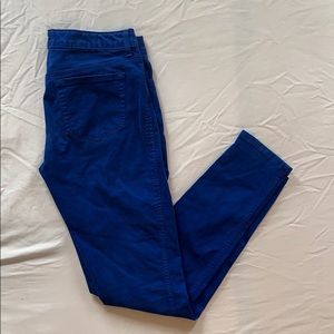 Bella Dahl super soft cobalt blue jeans.